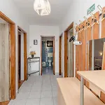 Apartment Jerko Jezera